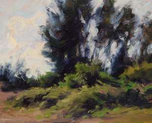Southern Light