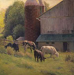 Farmyard