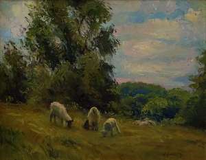 Grazing Sheep